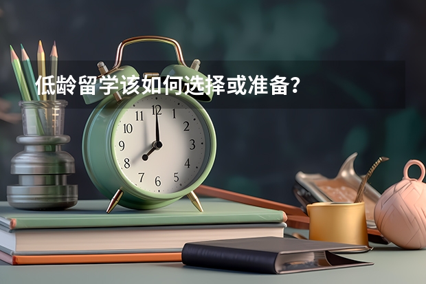 低龄留学该如何选择或准备？